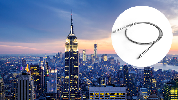 智能網(wǎng)絡(luò)